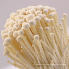 Enoki Mushroom Extract